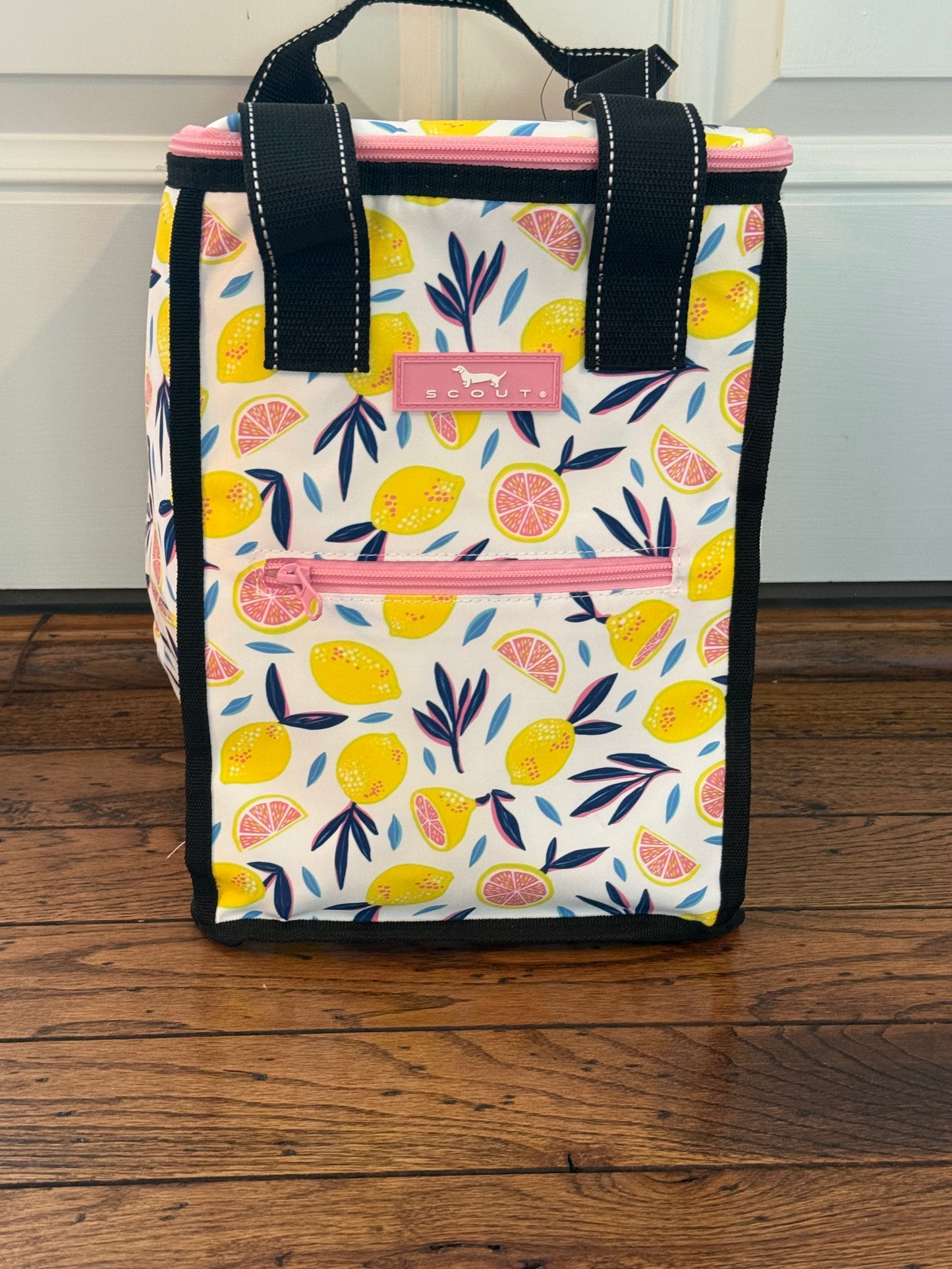 Pleasure Chest Cooler (2 patterns)