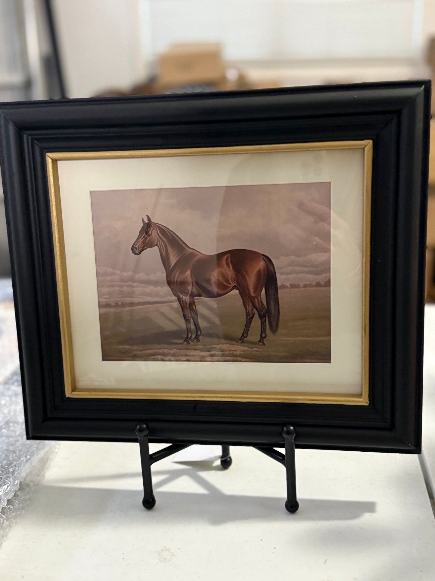 Horse Framed Art
