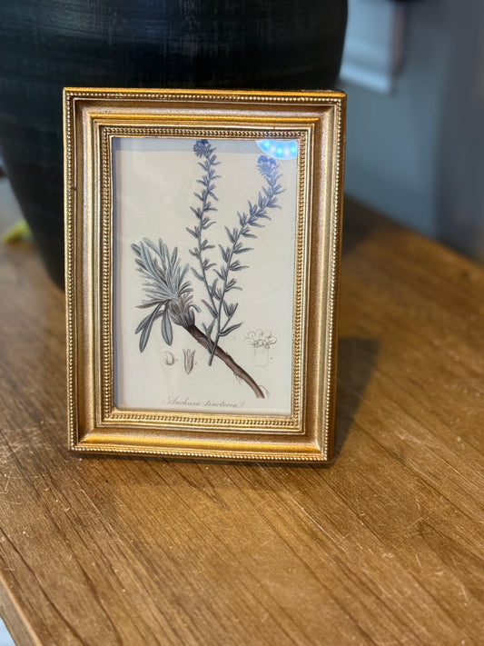 4x6 Vintage Gold Frame