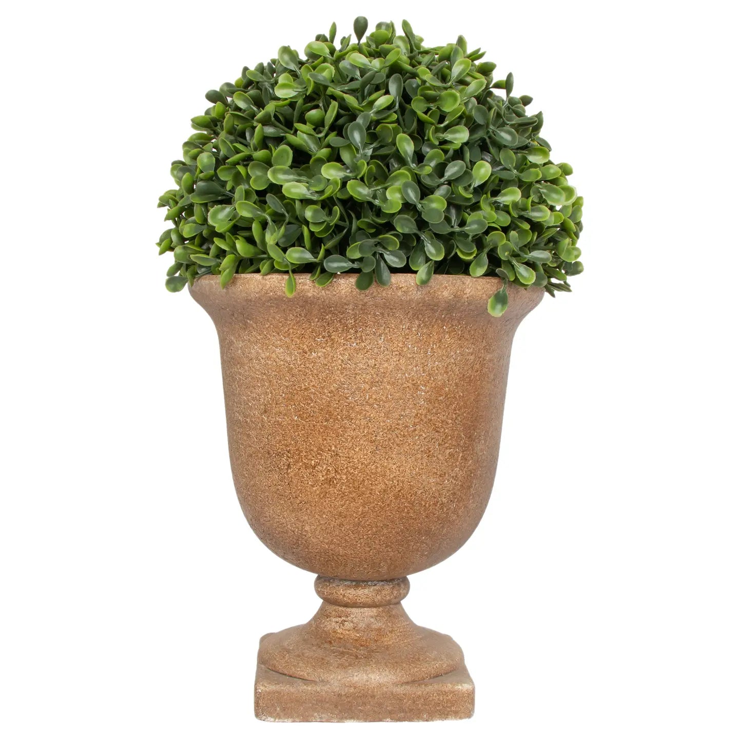 Boxwood Urn