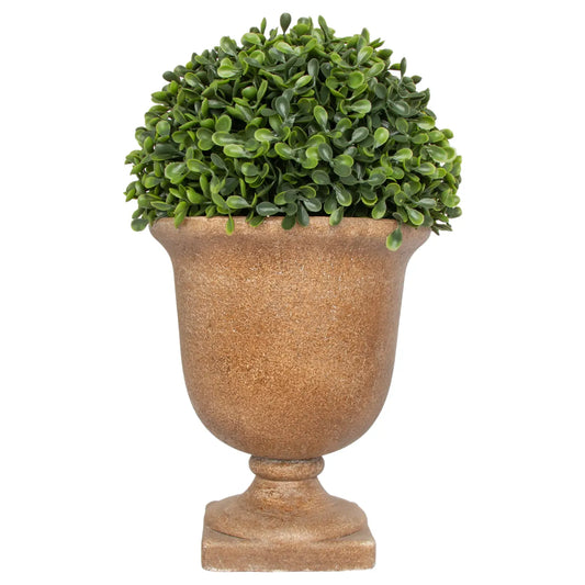 Boxwood Urn