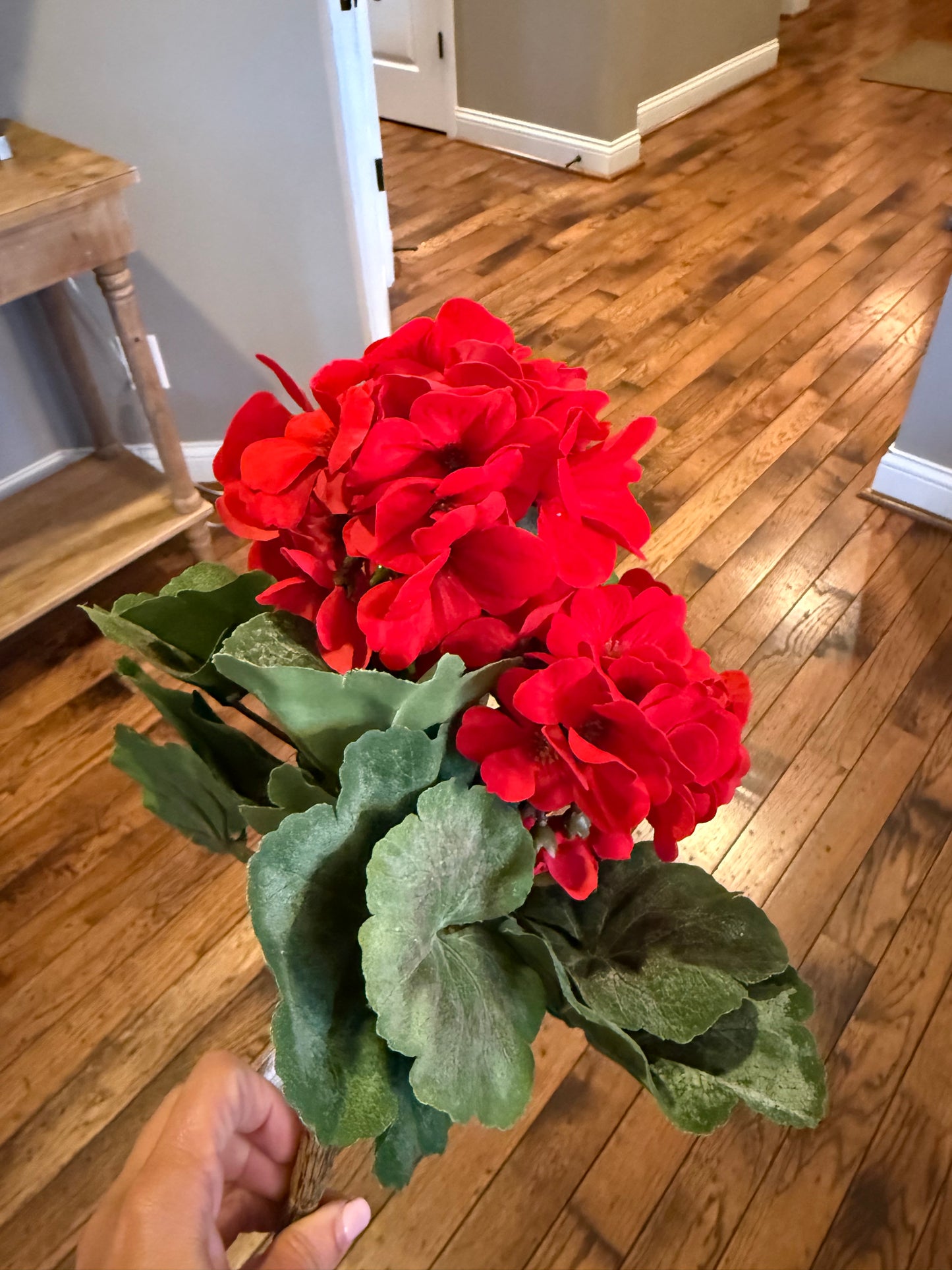 15 inch Geranium Bush