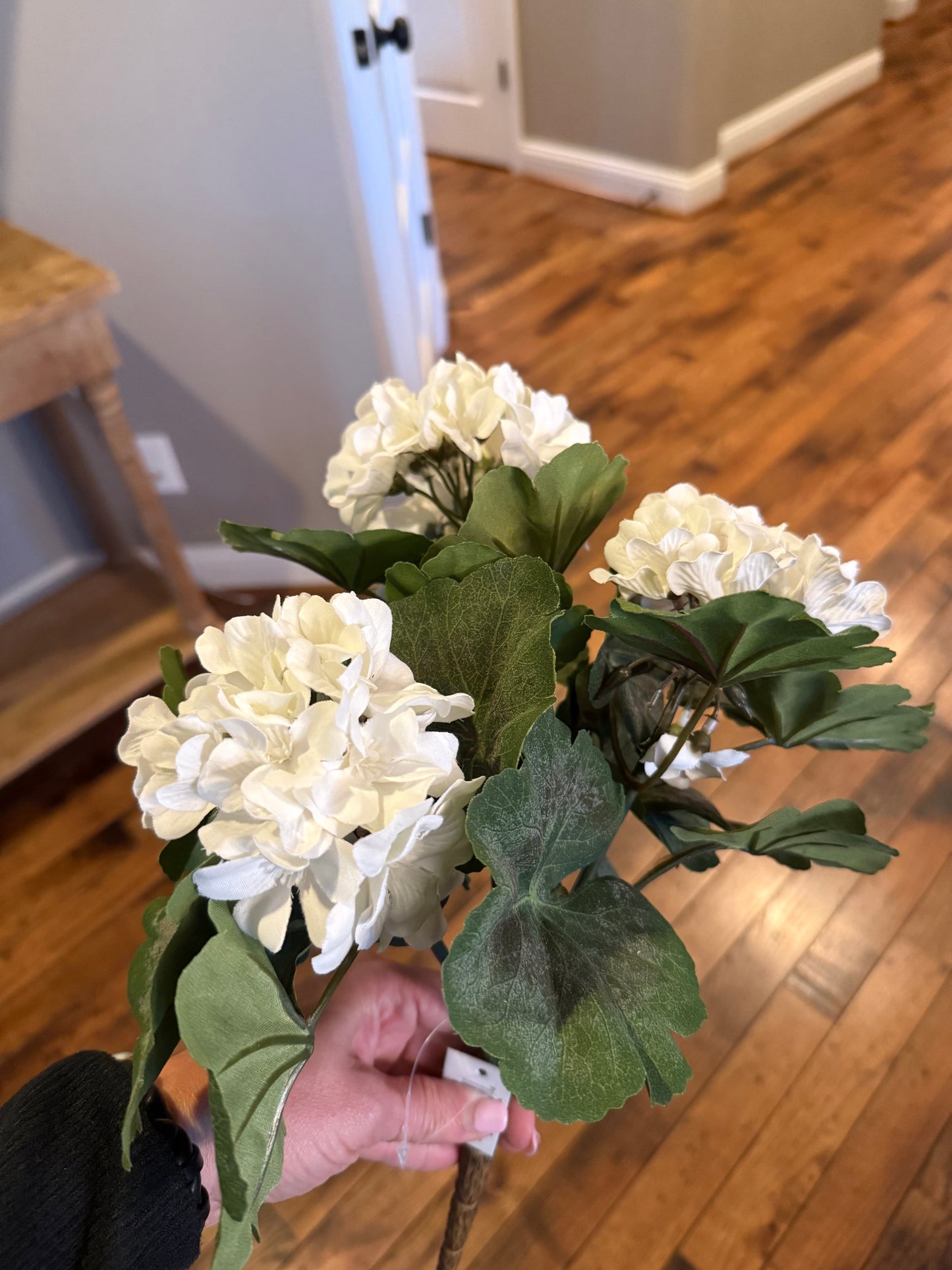 15 inch Geranium Bush
