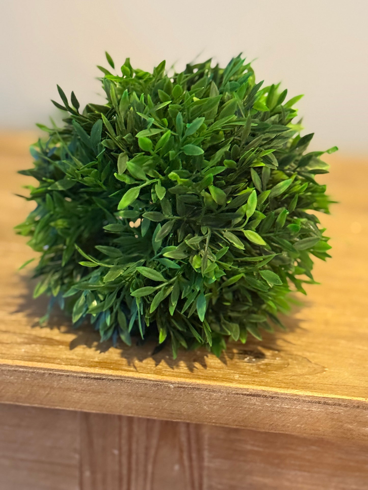 6” Podocarpus Ball