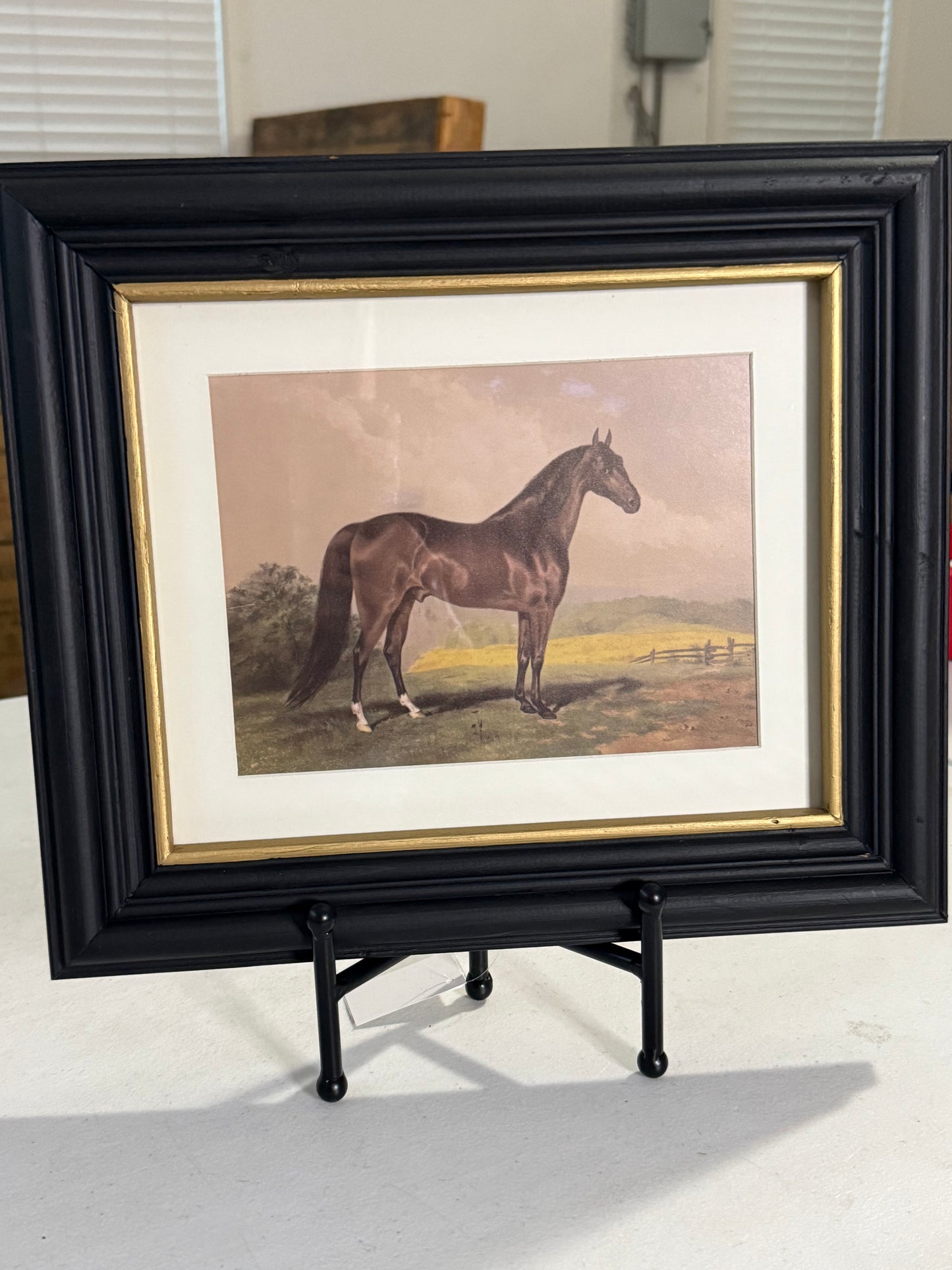 Horse Framed Art