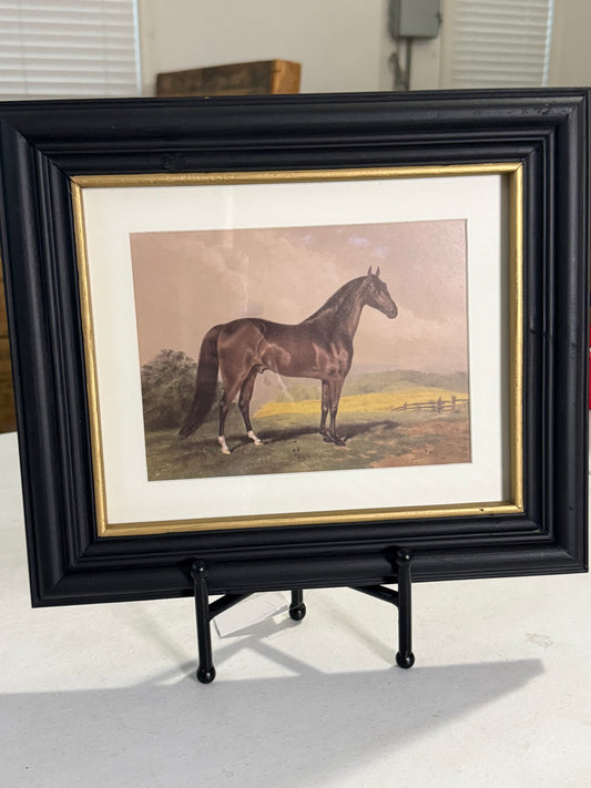 Horse Framed Art