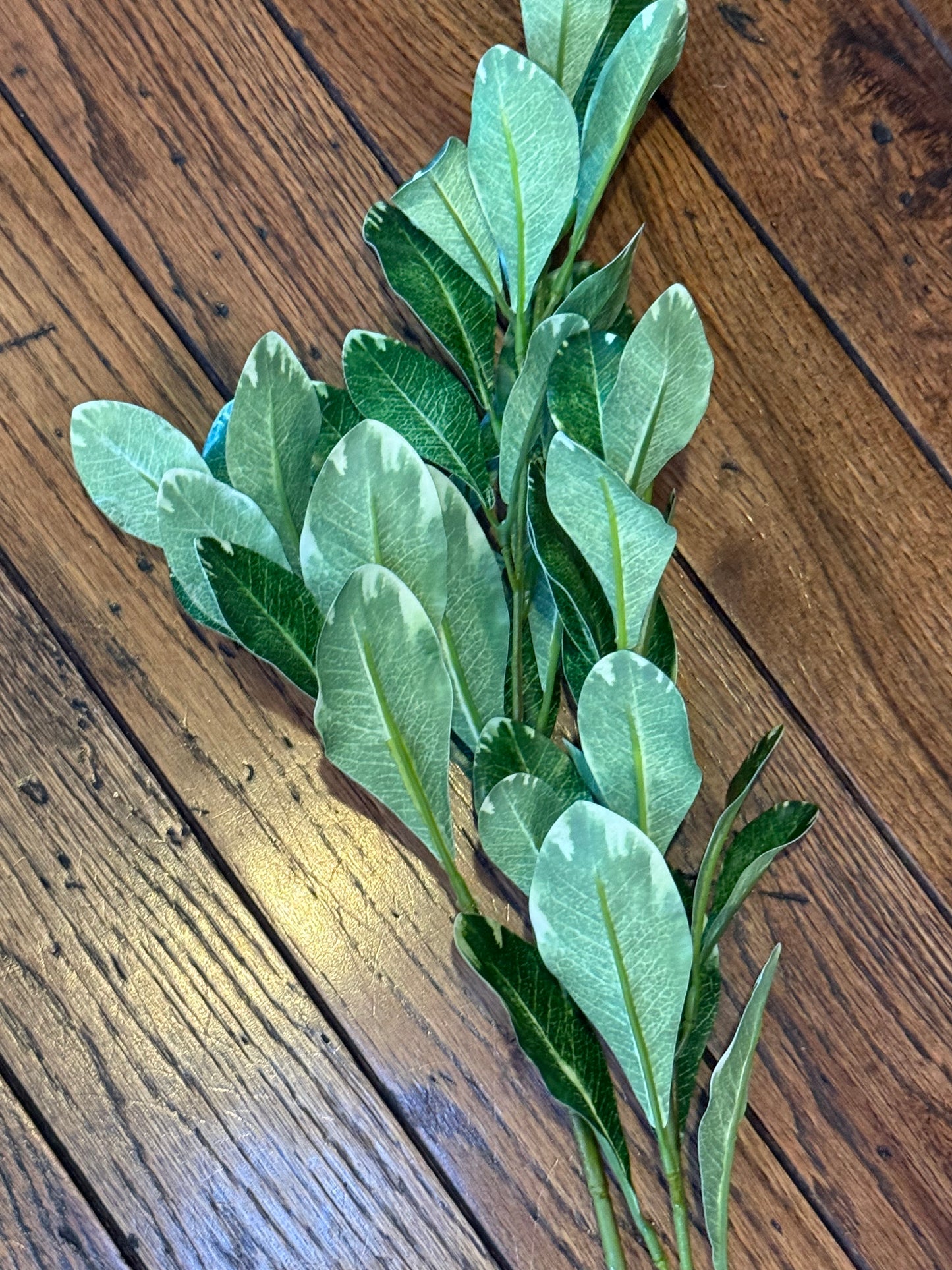 Real Touch Pittosporum Stem