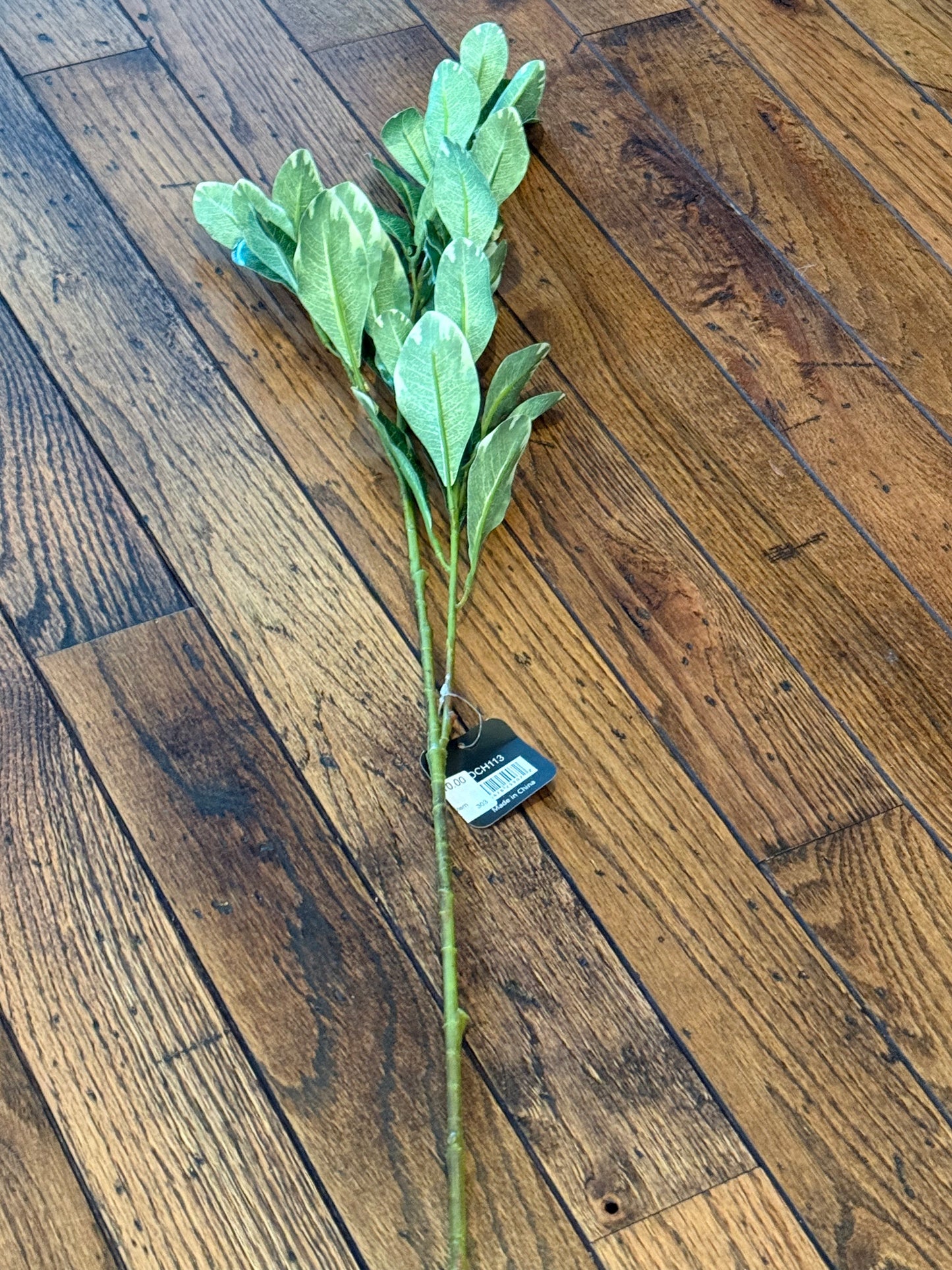 Real Touch Pittosporum Stem