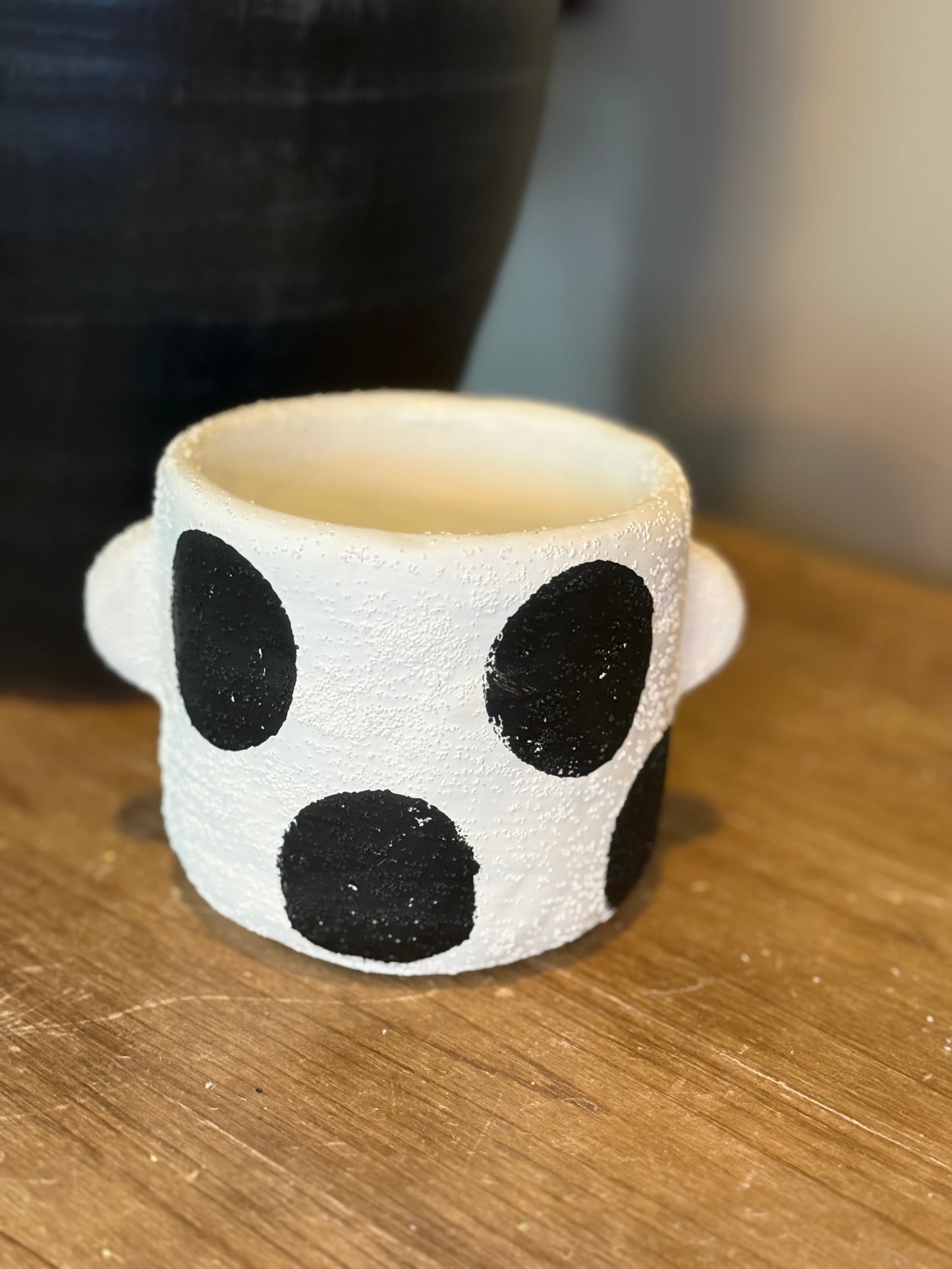 Black and White Polka Dot Planters