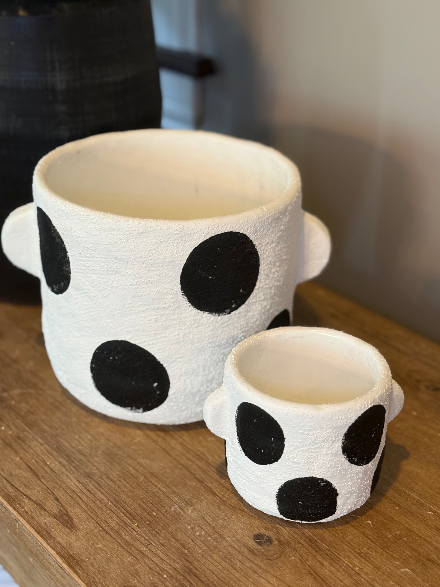 Black and White Polka Dot Planters